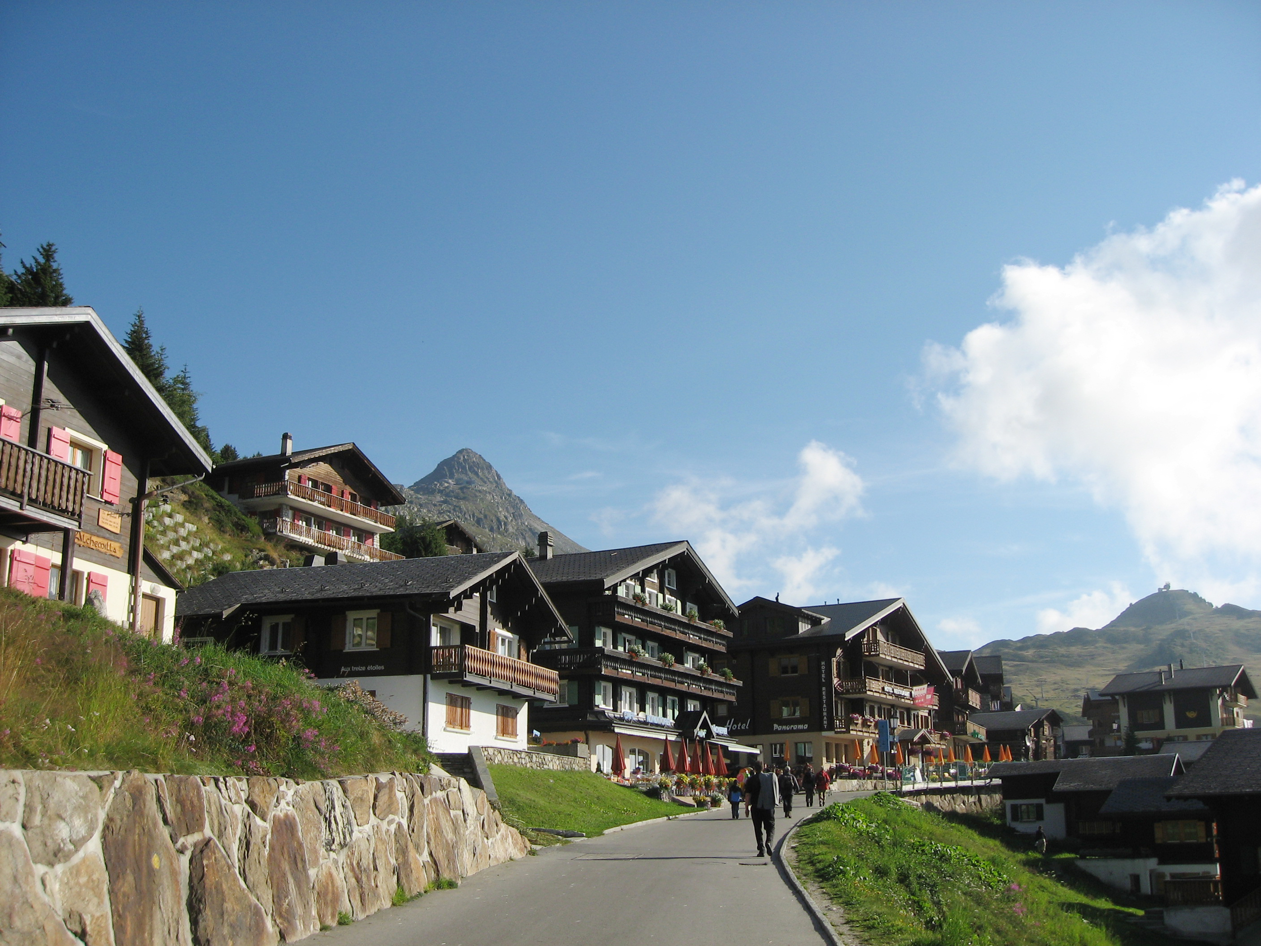 176050_R_K_B_by_Bolliger-Hanspeter_pixelio.de